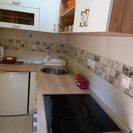 Apartamento Gavric *