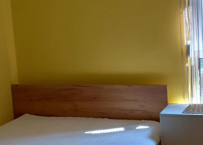 公寓 Gavric Divčibare